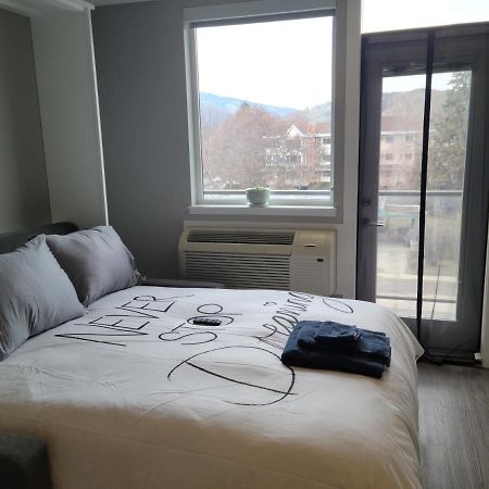 Cozy Studio Suite, 15Min Walk To Downtown Келоуна Экстерьер фото